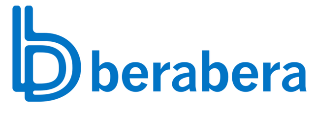alt=Logotipo equipo de balonmano femenino Berabera