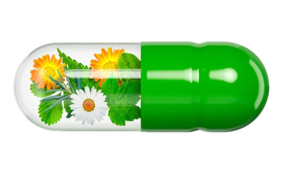 alt=cápsula de medicamente que contiene dentro plantas medicinales utilizadas en naturopatía