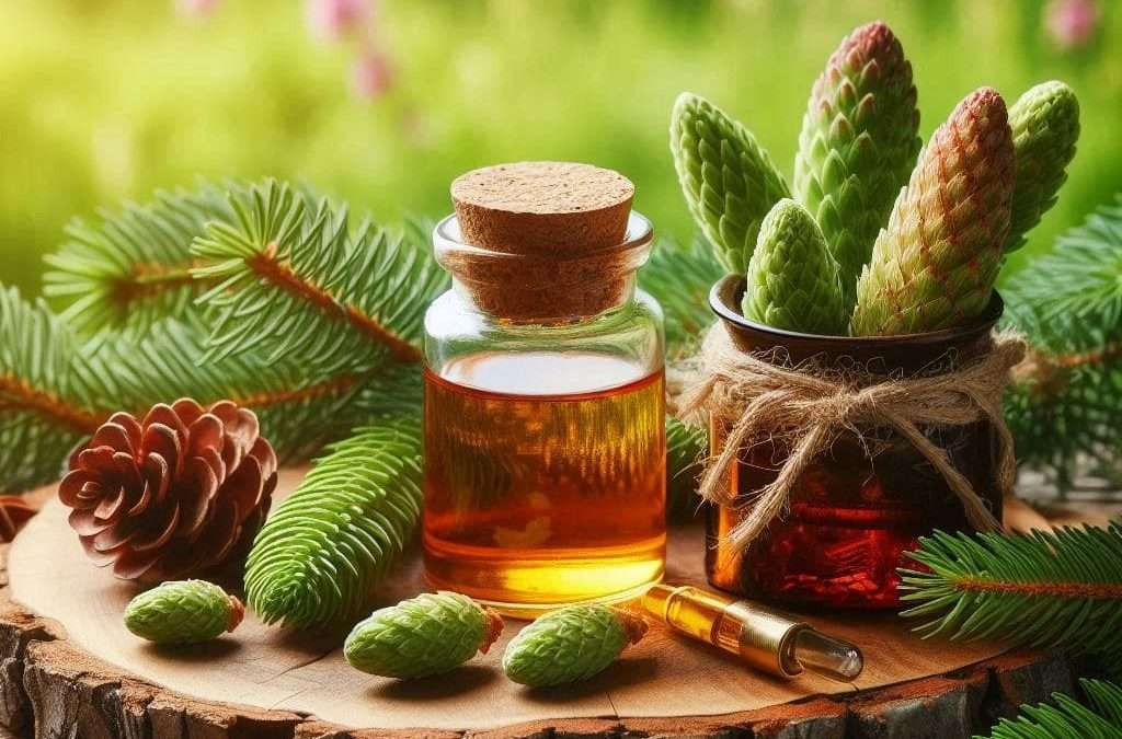 alt= yemas de pino, con frasco de dosificación para yemoterapia