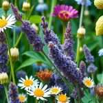 alt=campo de plantas medicinales variadas para el insomnio